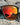 Lunettes